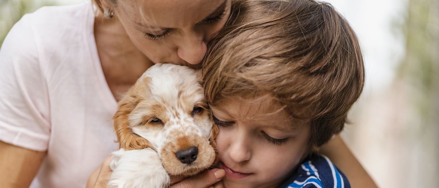 Inscribe a tu Master Dog en el Registro Nacional de mascotas