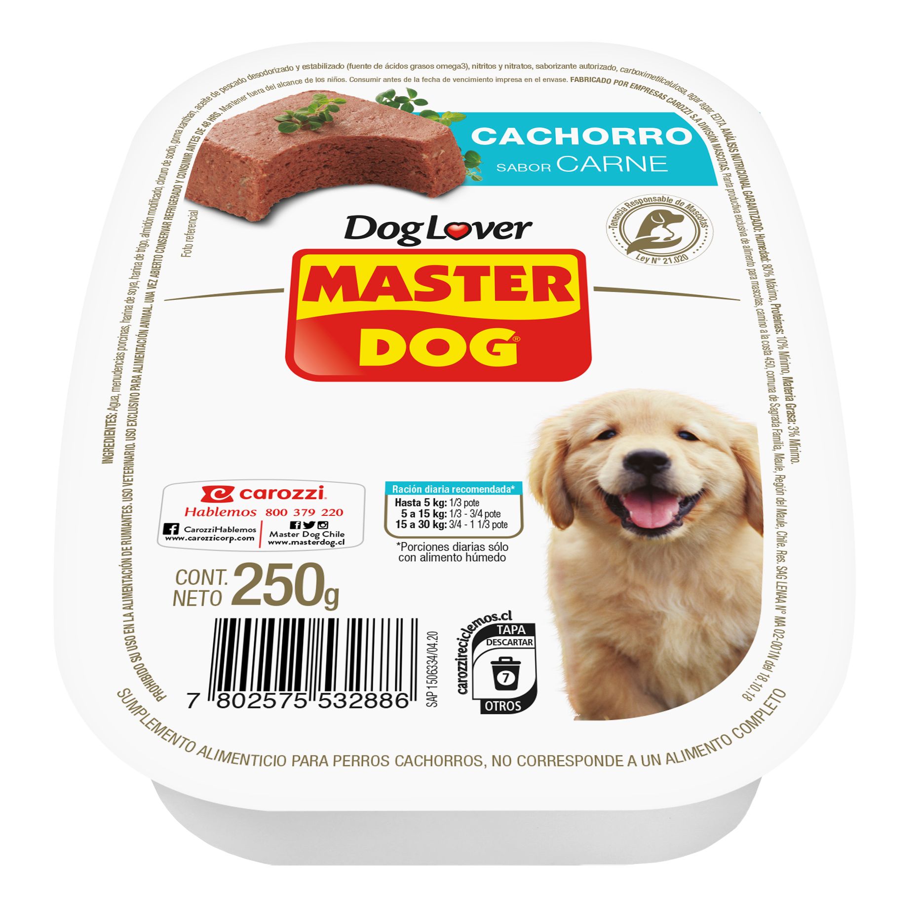 Paté pote Cachorro