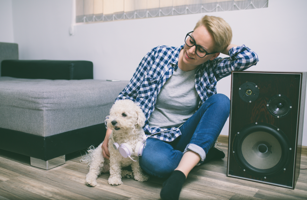 Música que ayuda a relajar a tu Master Dog