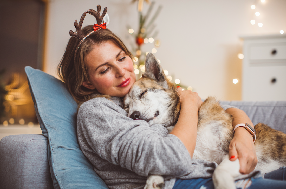 ¿Cómo resguardar a mi Master Dog de los ruidos en navidad y año nuevo?