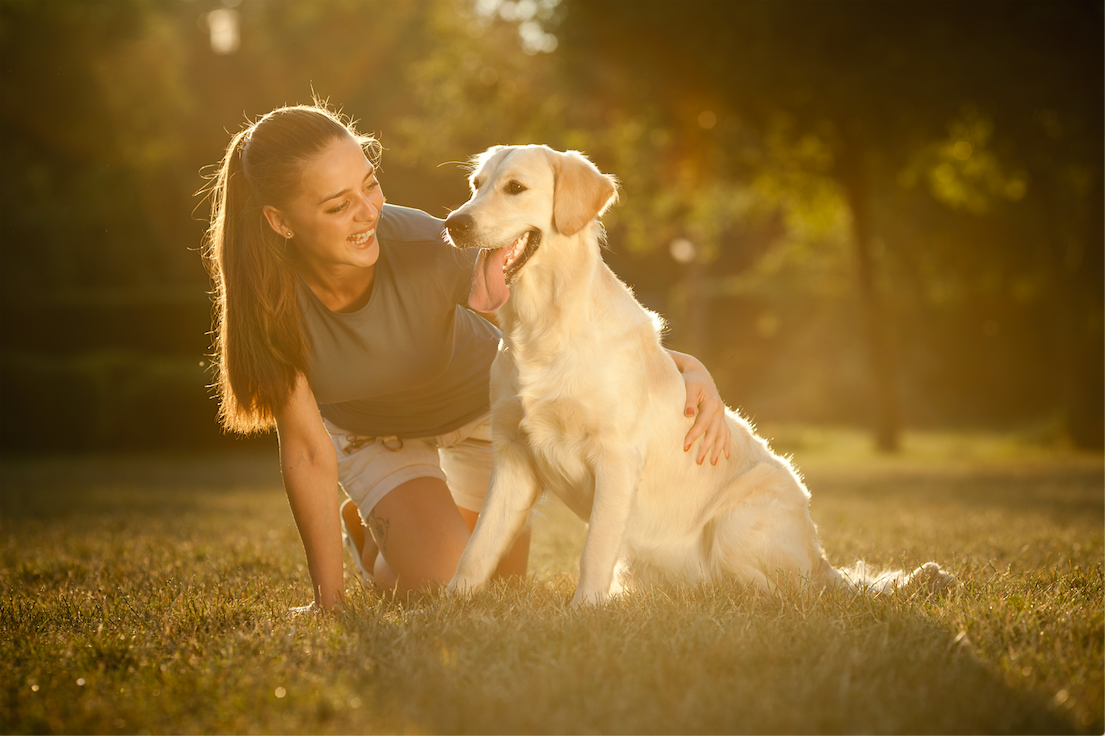 Consejos para pasear con tu Master Dog en un verano caluroso