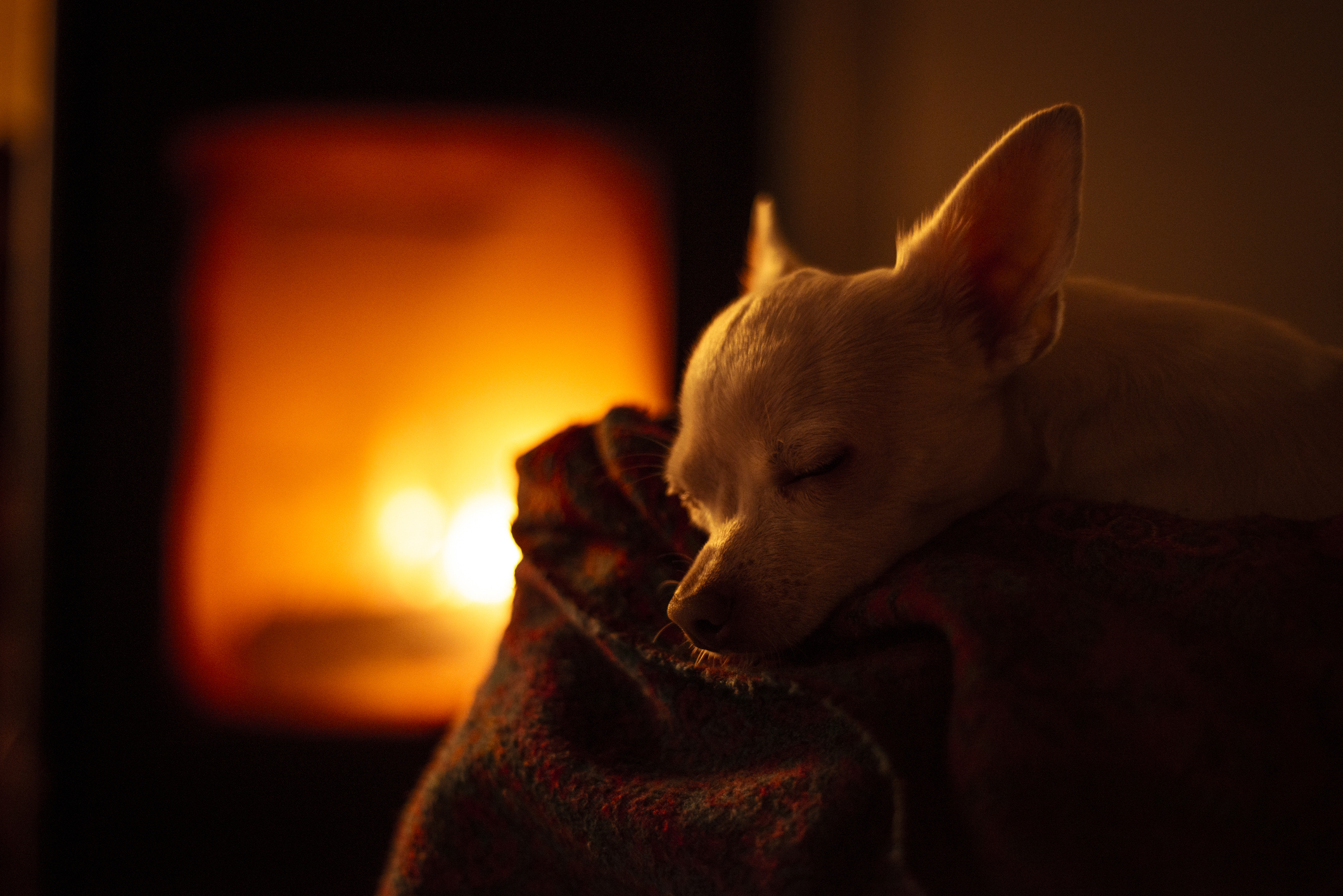 Cuidados para un invierno en casa