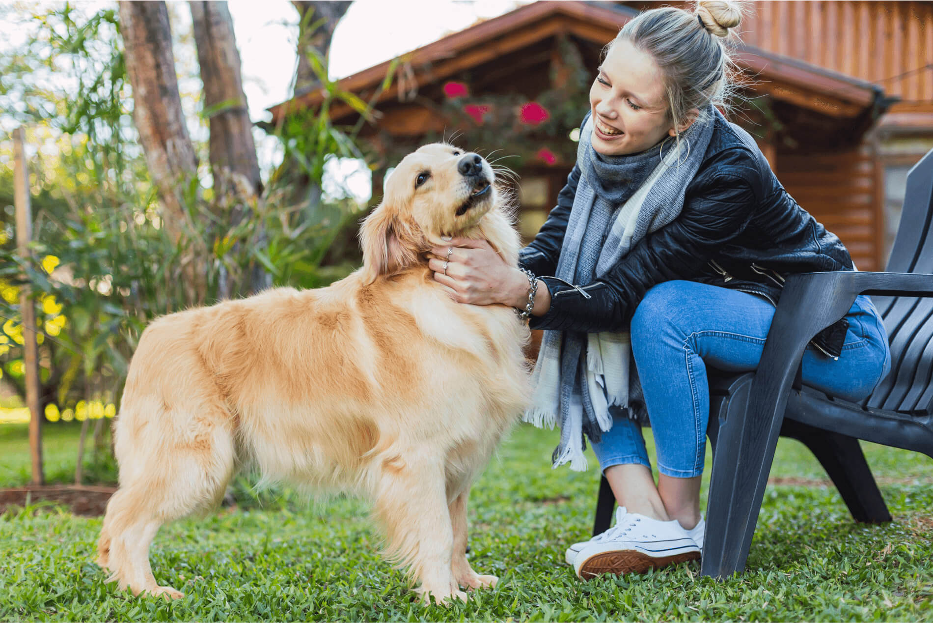 Conoce los cuidados que necesita la higiene de tu Master Dog para que su salud brille