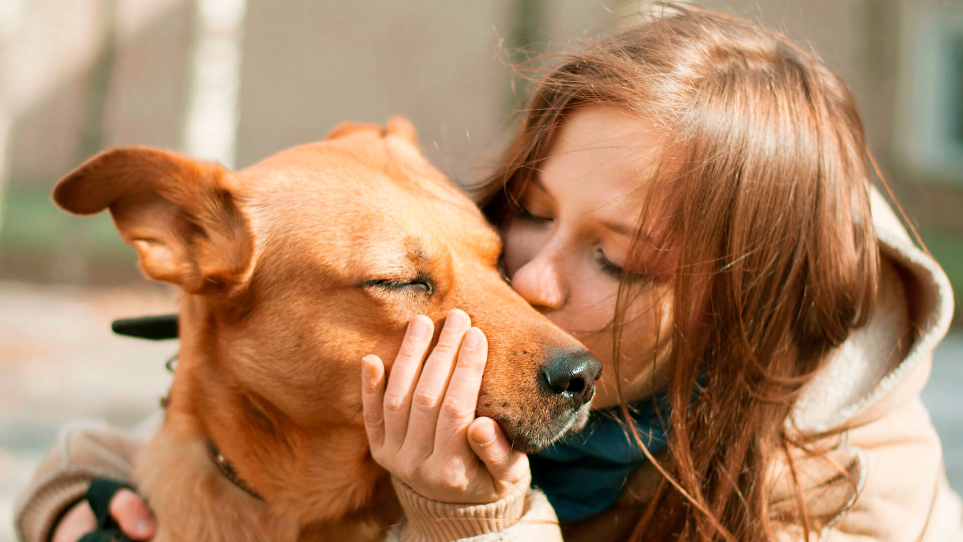 Me voy de vacaciones, ¿dónde dejo a mi Master Dog?